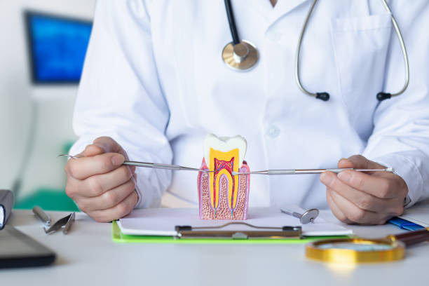 Best Orthodontic Emergency Dentist in Doylestown, OH